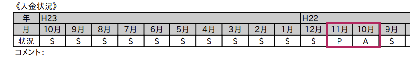 CIC 信用情報開示報告書(サンプル)